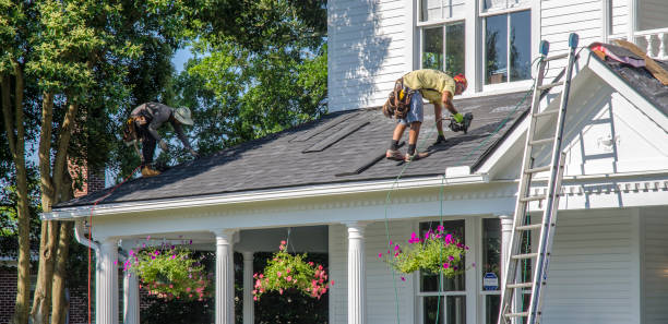 Best Flat Roof Repair Services  in Wyanet, IL